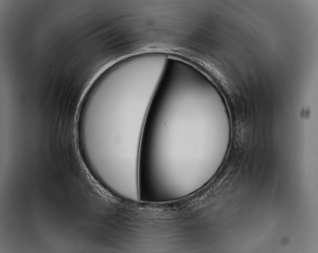 X0000100880976200806201143