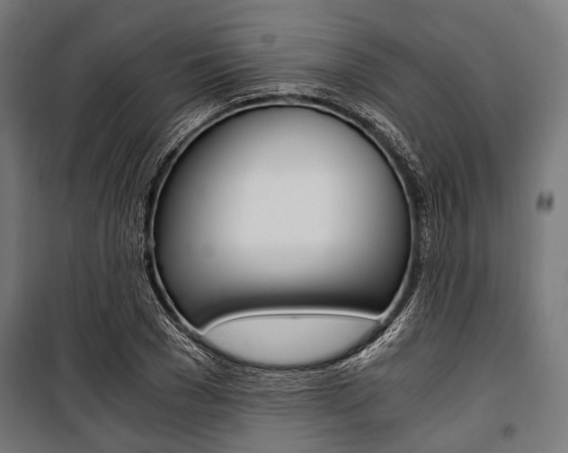 X0000100880977200806201143