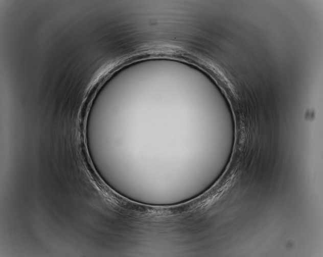 X0000100880978200806201143