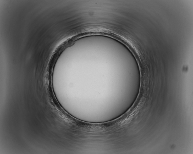 X0000100880979200806201143
