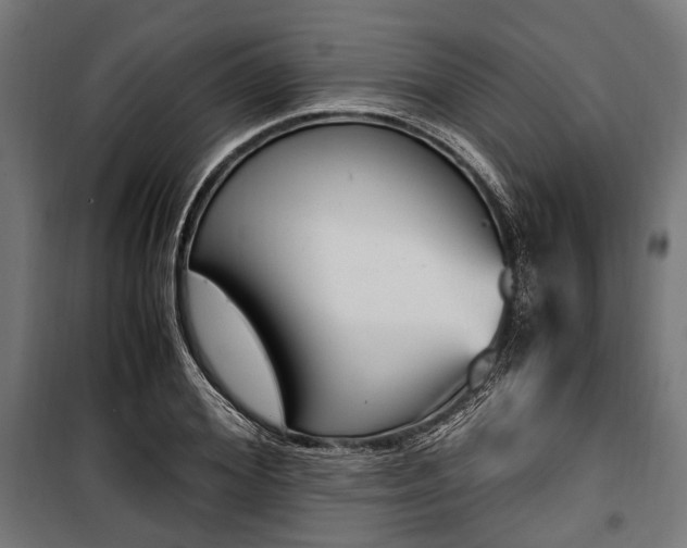 X0000100880980200806201143