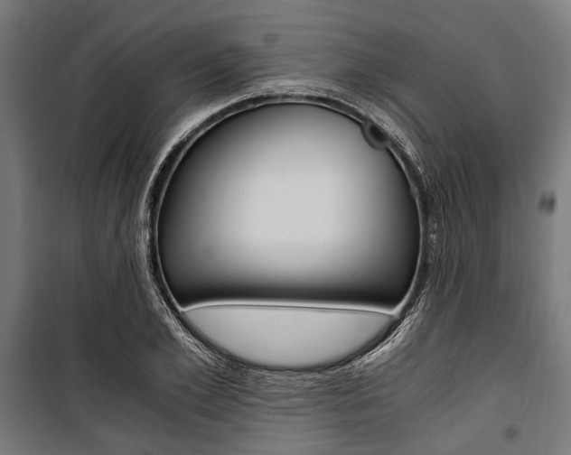 X0000100880981200806201143