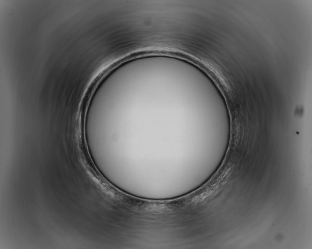 X0000100880982200806201143