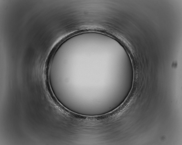 X0000100880983200806201143