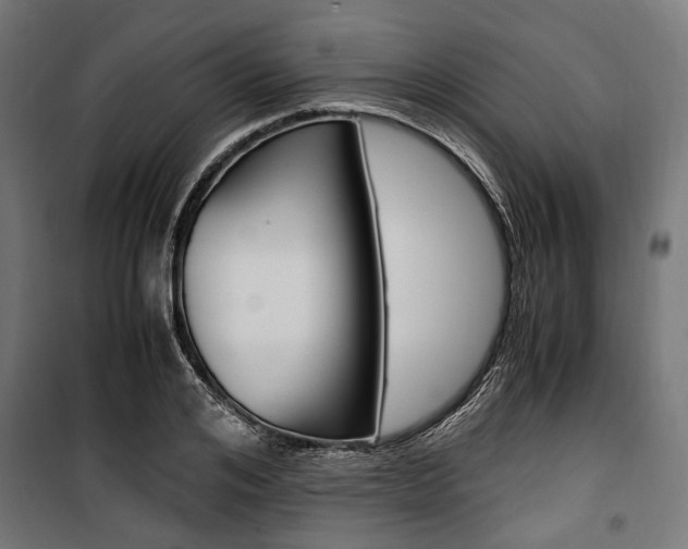 X0000100880984200806201143