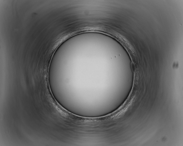 X0000100880985200806201143