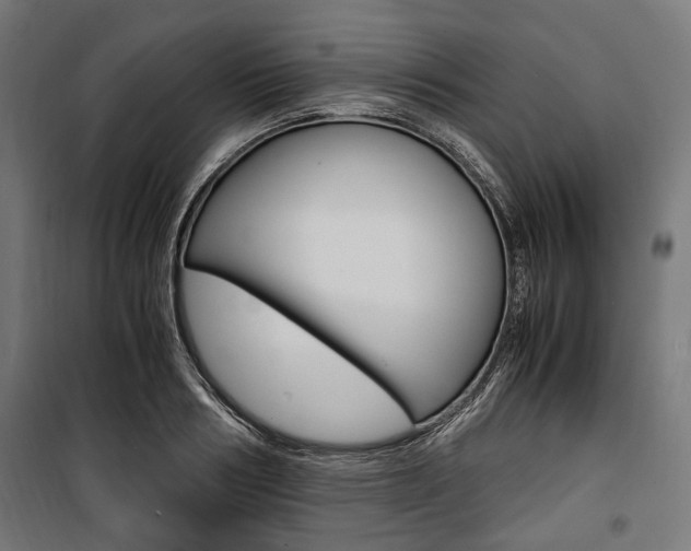 X0000100880986200806201143