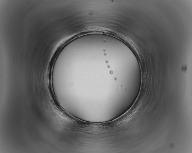 X0000100880987200806201143