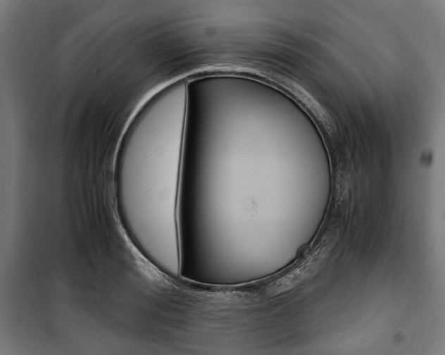 X0000100880988200806201143
