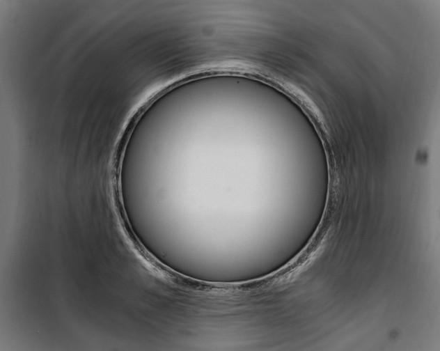 X0000100880989200806201143