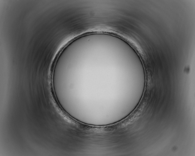 X0000100880990200806201142