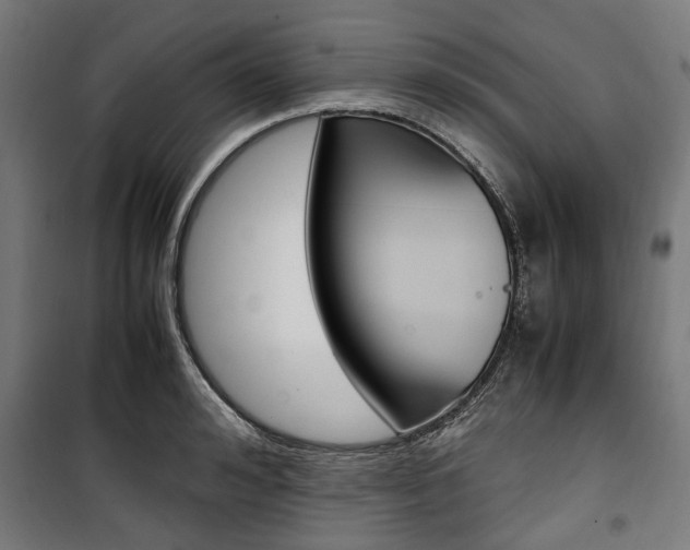X0000100880992200806201142