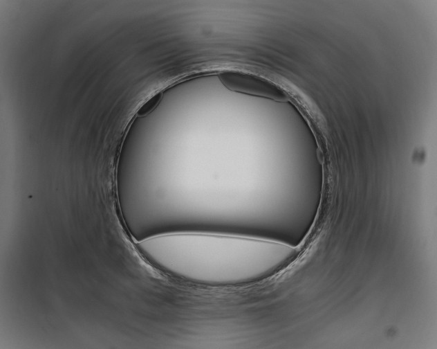 X0000100880993200806201142