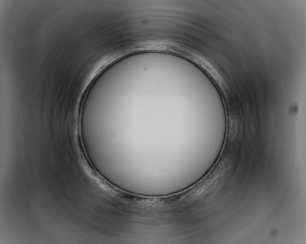 X0000100880994200806201142