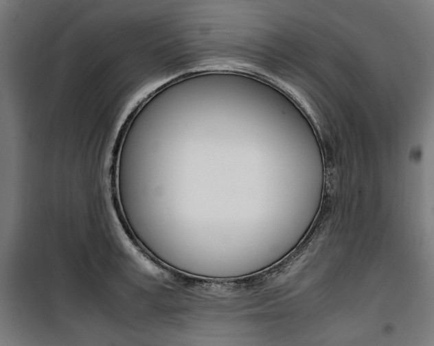 X0000100880995200806201142