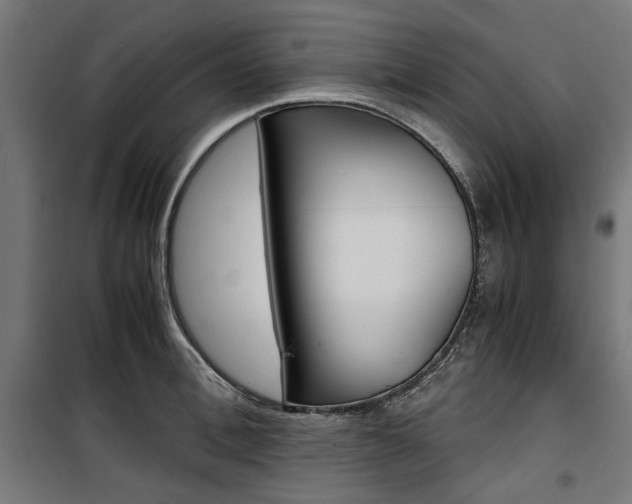 X0000100880996200806201142