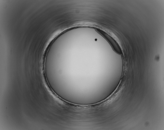 X0000100880997200806201142