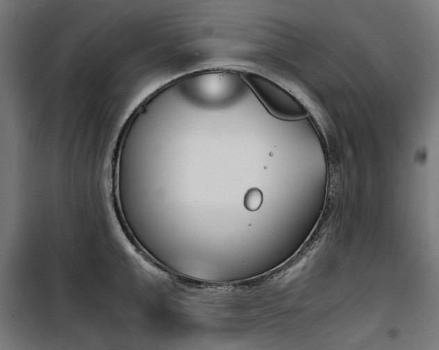 X0000100880999200806201142
