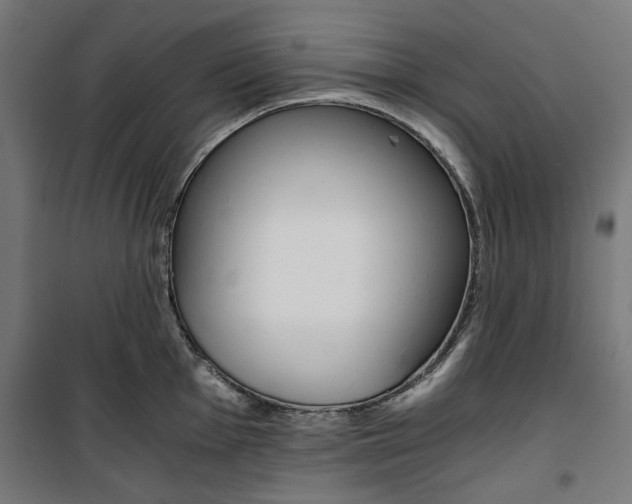 X0000100881001200806201142