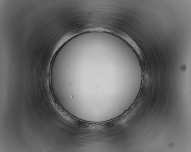 X0000100881002200806201142