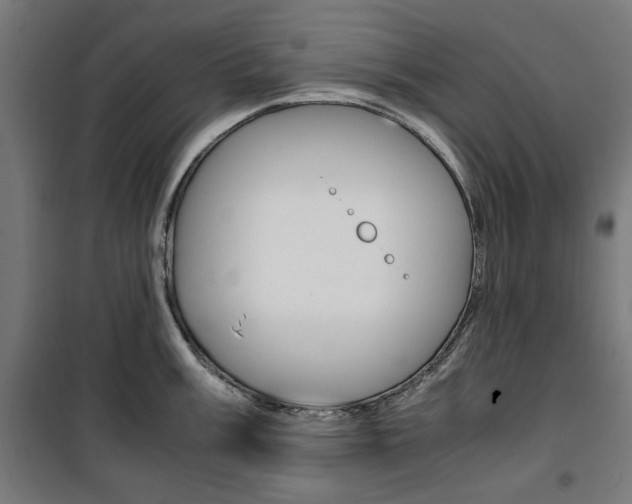 X0000100881003200806201142