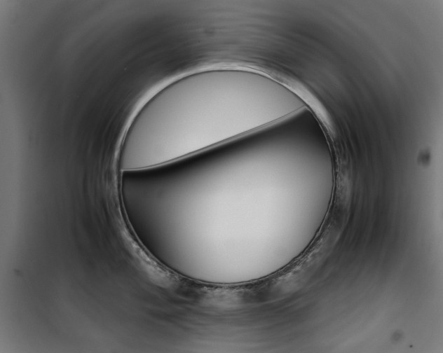 X0000100881004200806201142