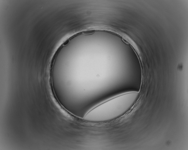 X0000100881005200806201142