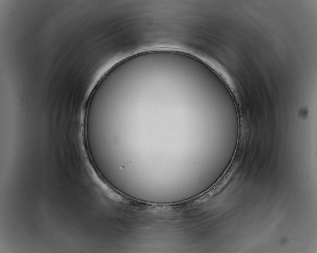 X0000100881006200806201142
