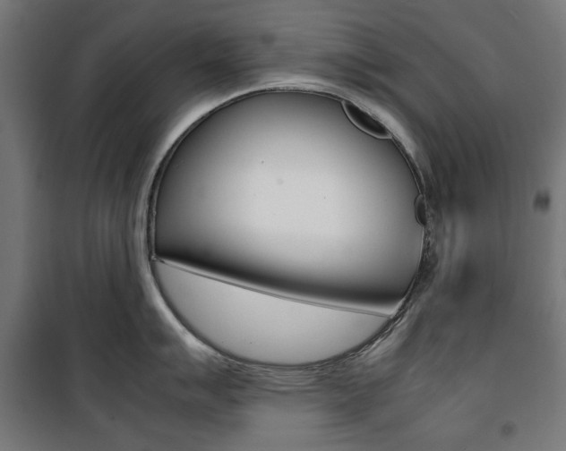 X0000100881007200806201142