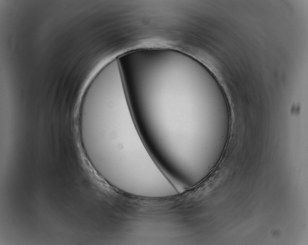 X0000100881008200806201142