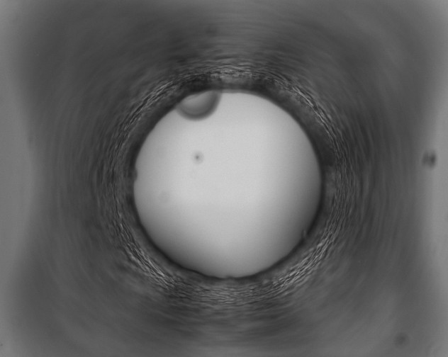 X0000100881009200806201142