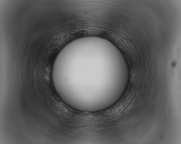 X0000100881010200806201142