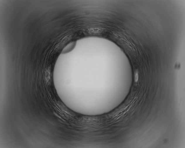 X0000100881011200806201142