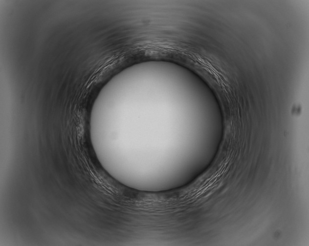 X0000100881012200806201142