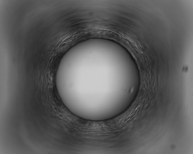 X0000100881013200806201142