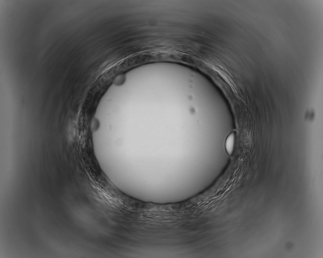 X0000100881015200806201142