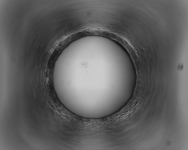 X0000100881016200806201142