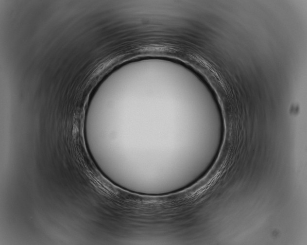 X0000100881017200806201142