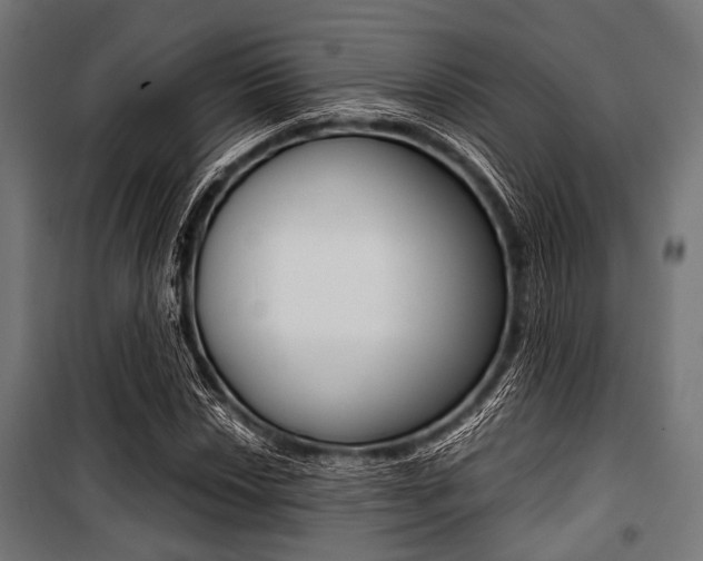X0000100881018200806201142