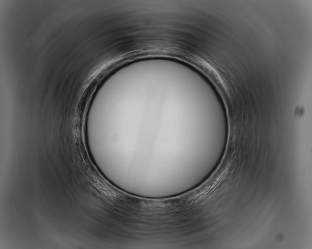 X0000100881019200806201142