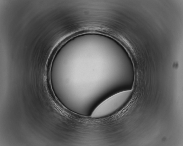 X0000100881020200806201142
