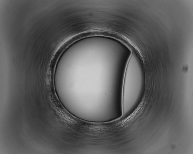 X0000100881021200806201142