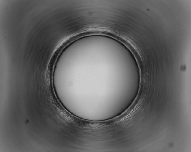 X0000100881022200806201142