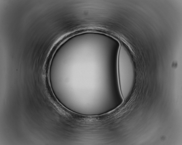 X0000100881024200806201142