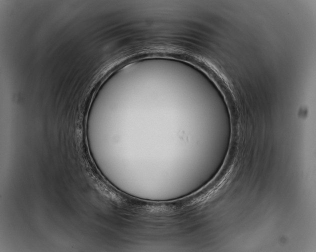 X0000100881025200806201142
