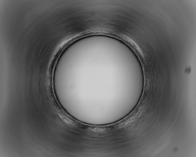 X0000100881027200806201142