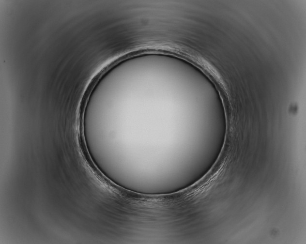 X0000100881028200806201142