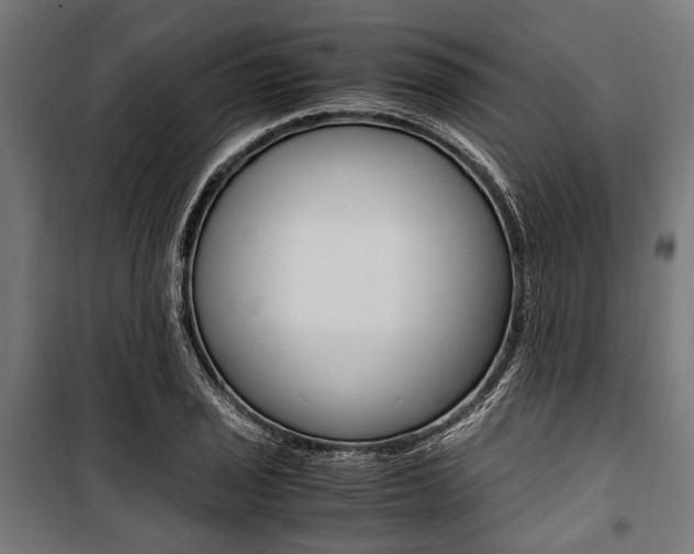 X0000100881029200806201142