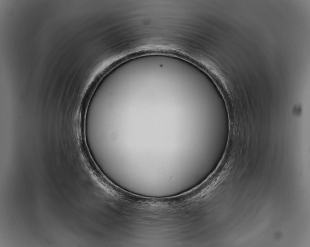 X0000100881030200806201142