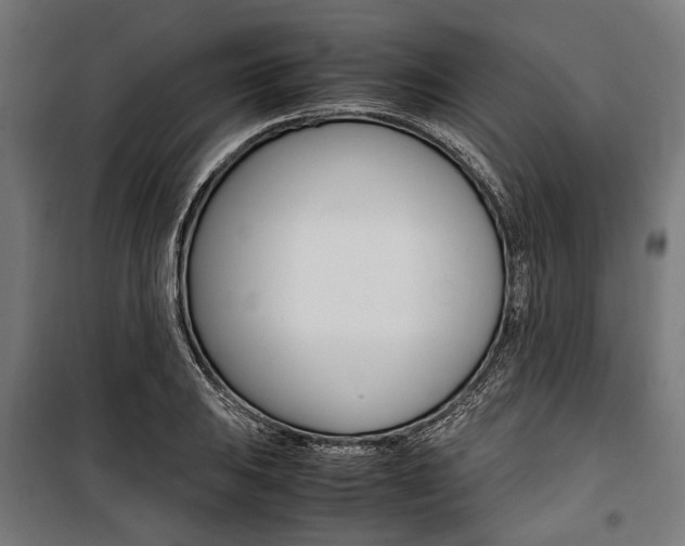 X0000100881031200806201142